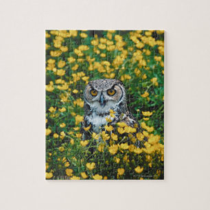 Orange Eyed Owl in Meadow of Flowers Jigsaw Puzzle