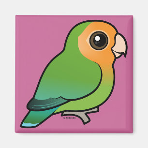 Orange-faced Peach-faced Lovebird Magnet