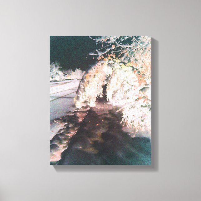 Orange Fairy Glow Fine Art Canvas Print (Front)