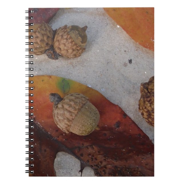 Orange fall leaves and acorns spiral notebook (Front)