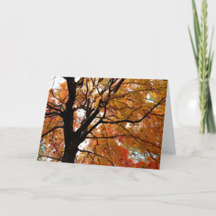 Orange Fall Tree Greeting Card (Blank Inside)