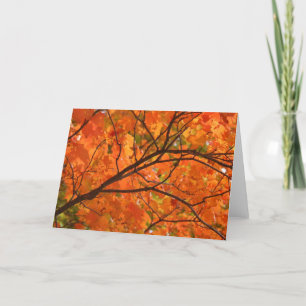 Orange FIre Greeting Card