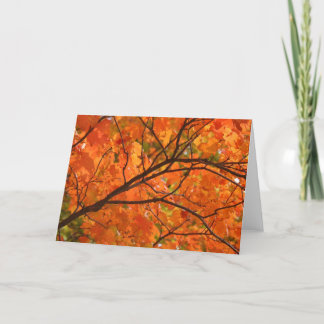 Orange FIre Greeting Card