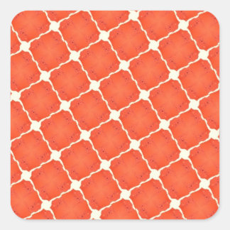 Orange Fishing Net Mosaic Tile Grid Pattern Gifts Square Sticker