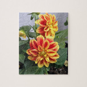 Orange Floral Photography Jigsaw Puzzle