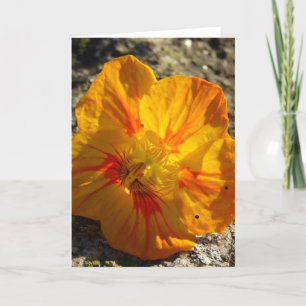 Orange Flower Card