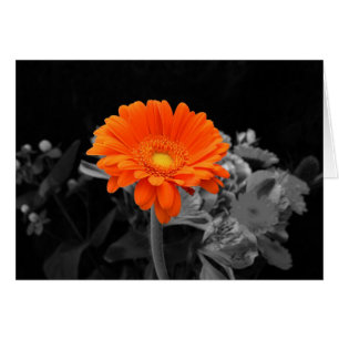 Orange Flower card-Any Occasion