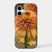 Orange Flower Delight
