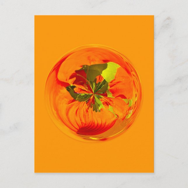 Orange flower in globe postcard (Front)
