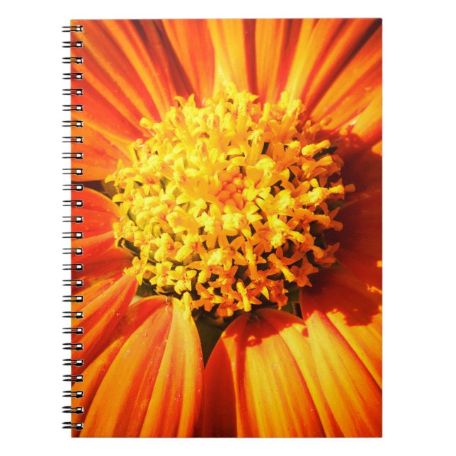 Orange Flower Macro Nature Photography Wall Art Notebook (Front)
