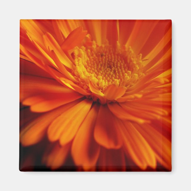Orange Flower Magnet (Front)