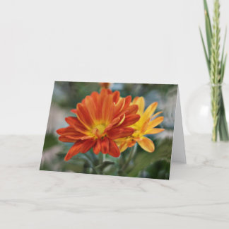 Orange Flower Notecard