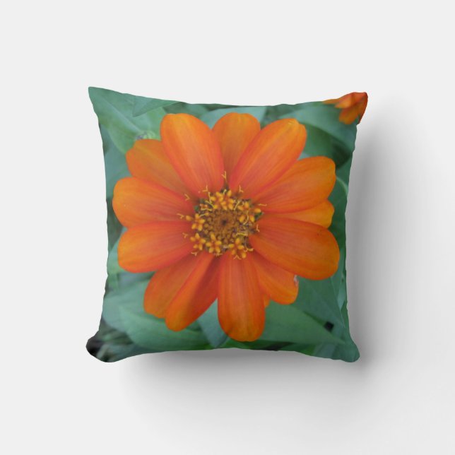 Orange flower pillow (Front)
