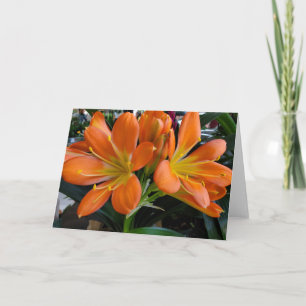 Orange flowers card