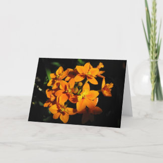 Orange Flowers Card