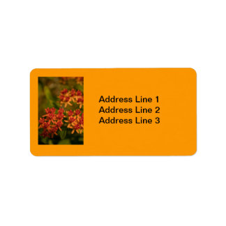 Orange Flowers in the Smoky Mountains Label