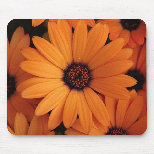 Orange Flowers Mouse Pad (Front)