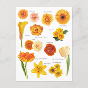 Orange Flowers Postcard