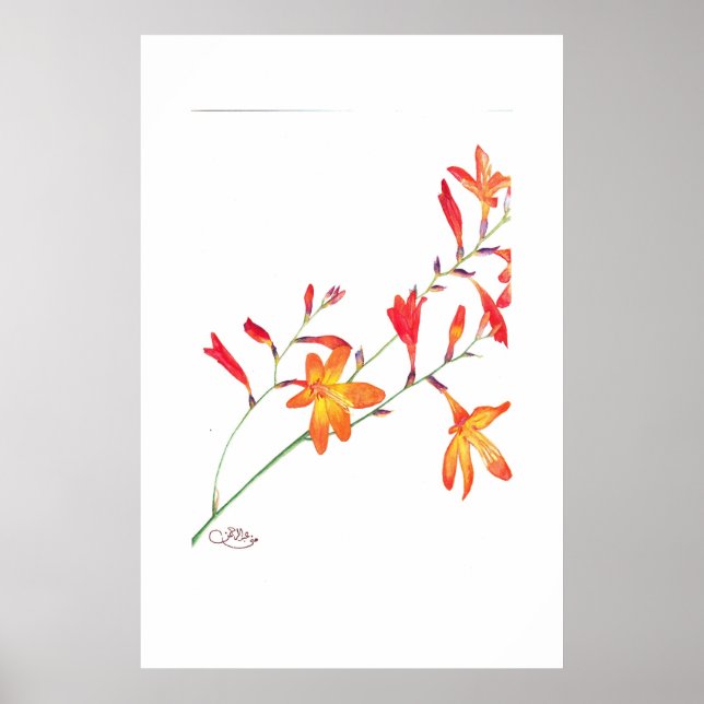 Orange Flowers Poster (Front)