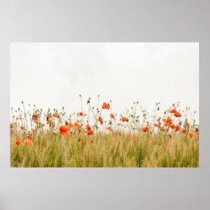 ORANGE FLOWERS POSTER