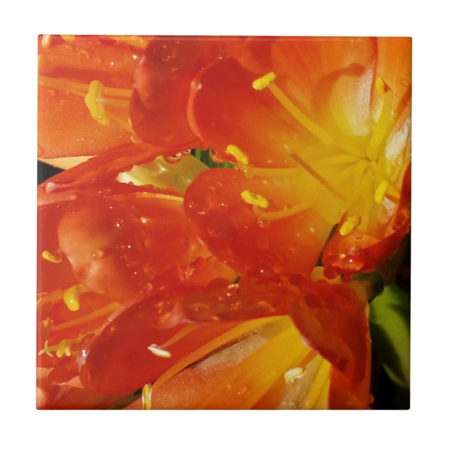 Orange Flowers Tile (Front)