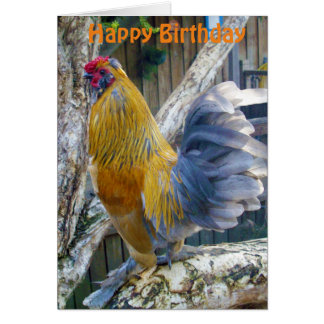 Orange Fluffy Proud Rooster, Birthday Card