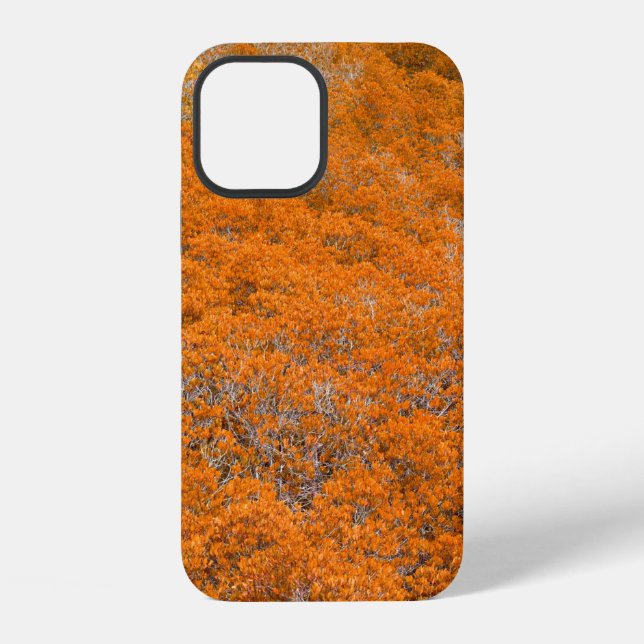 Orange forest view. Orange leaf background. Autumn iPhone Case (Back)