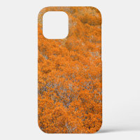 Orange forest view. Orange leaf background. Autumn