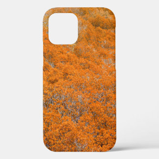 Orange forest view. Orange leaf background. Autumn iPhone 12 Case