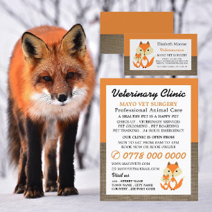 Orange Fox, Veterinarian, Veterinary Service Flyer