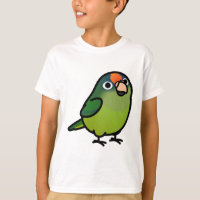 Orange-fronted Conure