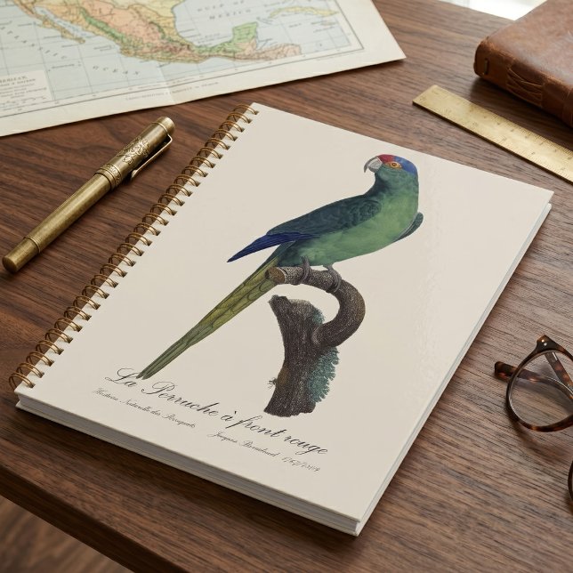 Orange-Fronted Parakeet, Eupsittula Canicularis Planner (Orange-Fronted Parakeet, Eupsittula Canicularis. Planner)