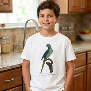 Orange-Fronted Parakeet, Eupsittula Canicularis T-Shirt