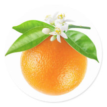 Orange fruit and flowers
