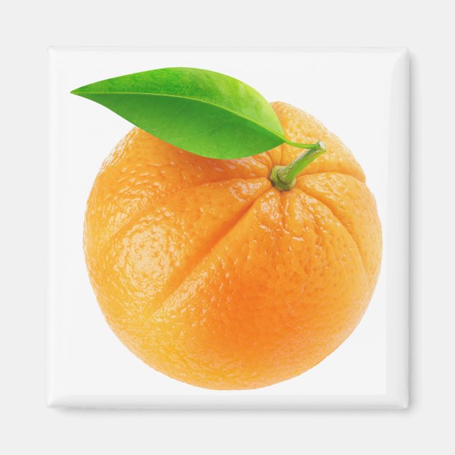 Orange fruit magnet (Front)