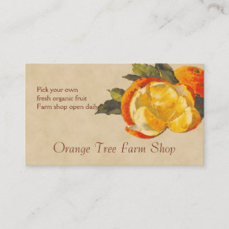 Orange fruit sales business card