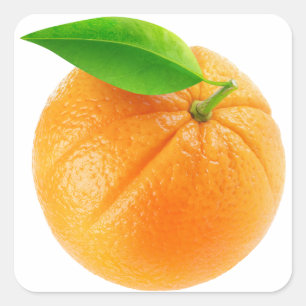 Orange fruit square sticker