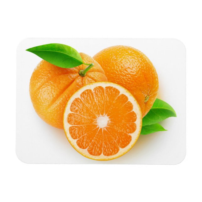 Orange fruits magnet (Horizontal)