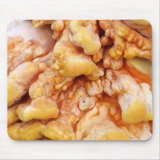 Orange Fungus Mouse Pad