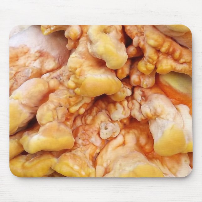 Orange Fungus Mouse Pad (Front)