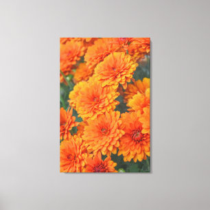 Orange Garden Flowers Mums Autumn Art Canvas Print