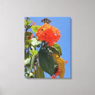 Orange Geiger Tree Canvas Print
