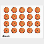 Orange Gerber Daisy Classic Round Sticker (Sheet)