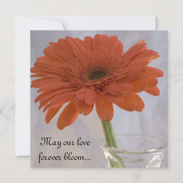 Orange Gerber Daisy Wedding Invitation (Front)