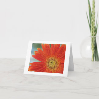 Orange Gerbera Card
