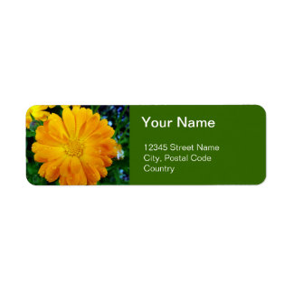 orange gerbera daisy flower address label