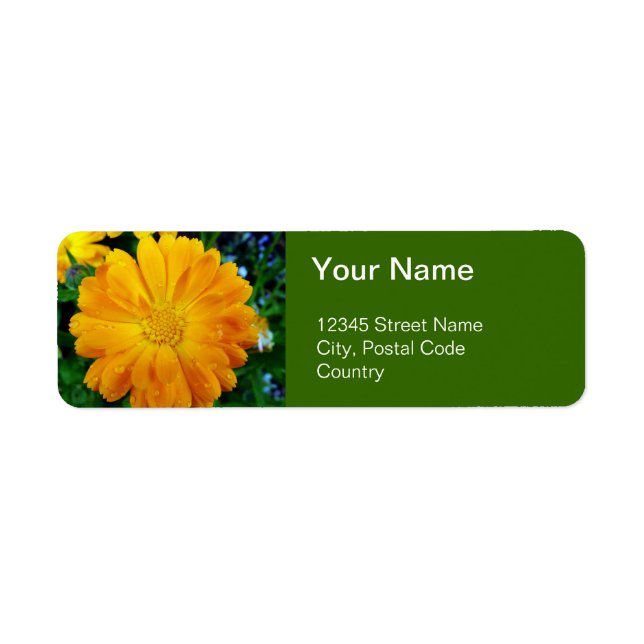 orange gerbera daisy flower address label (Front)