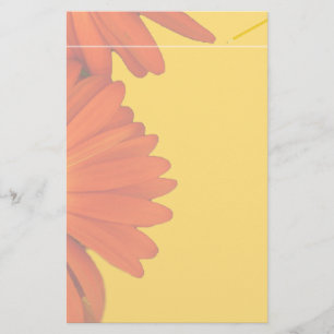 orange gerbera daisy flowers stationery