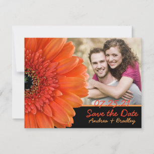 Orange Gerbera Daisy Photo Wedding Save Date Save The Date