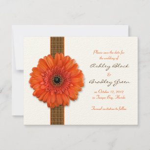 Orange Gerbera Daisy Save the Date Card